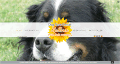 Desktop Screenshot of hundebetreuung-mallorca.com